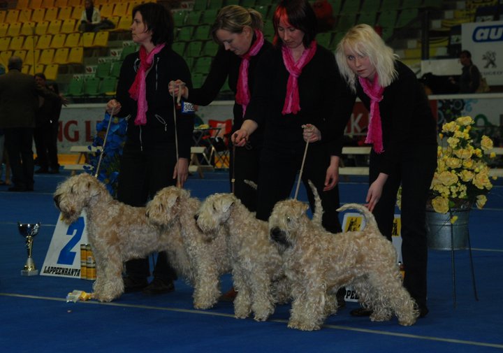 Lappeenranta Int BIS3 Breeder